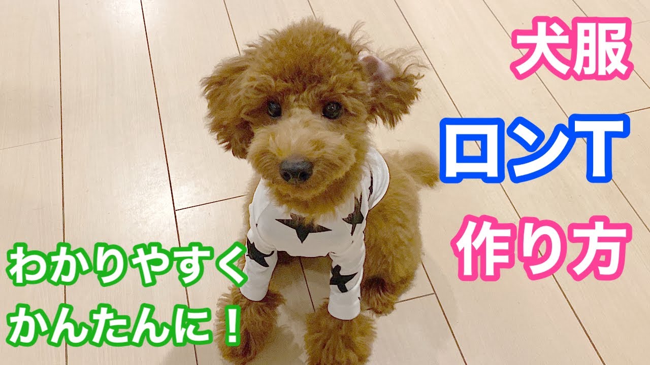 【犬服】市販の子供服から犬用長袖Tシャツの作り方