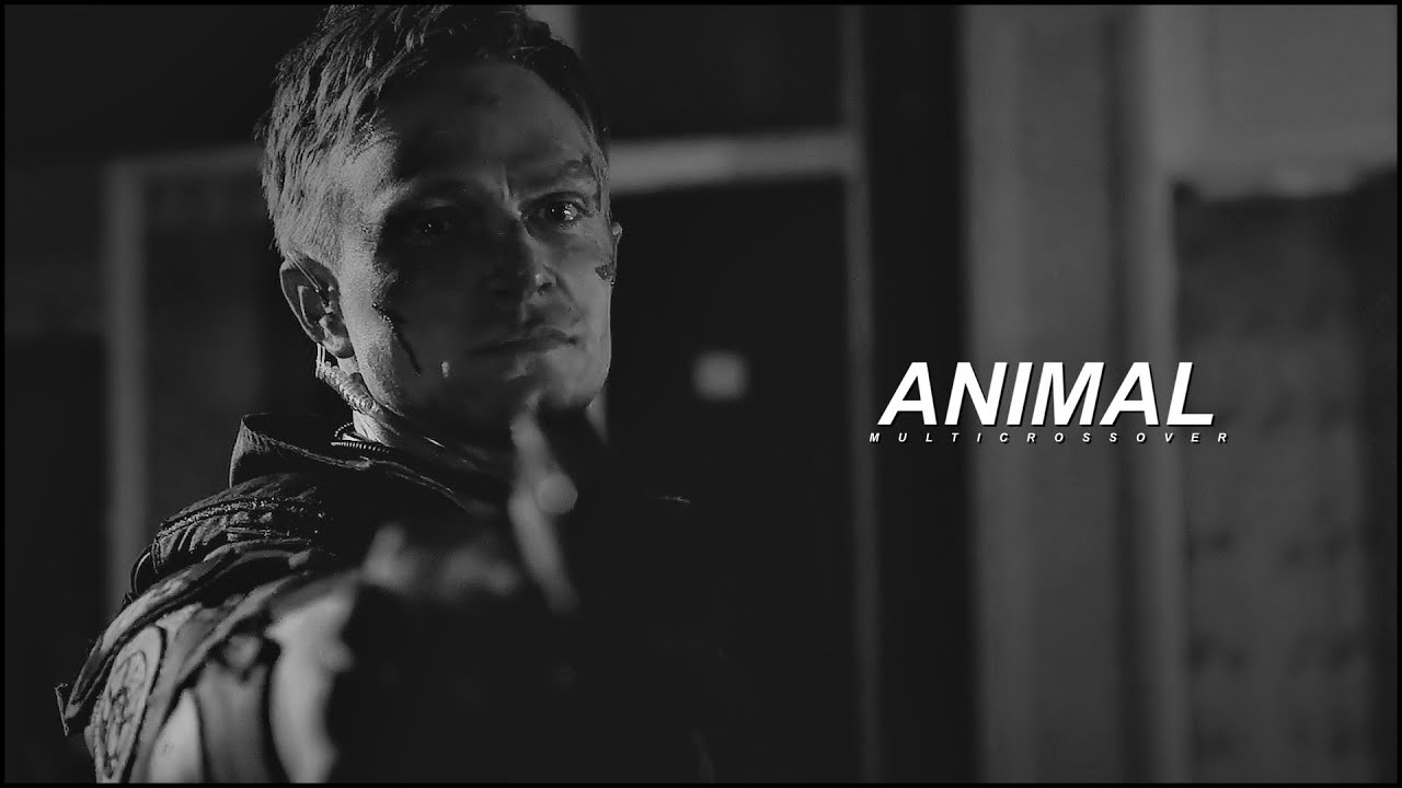 Animal Dark!Multicrossover » w/ ozcobblepots