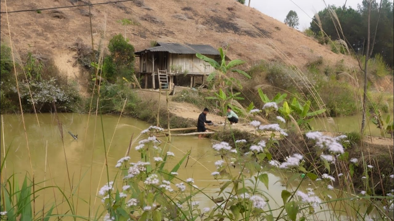Add more space for washing dishes to the beautiful house in a remote area.