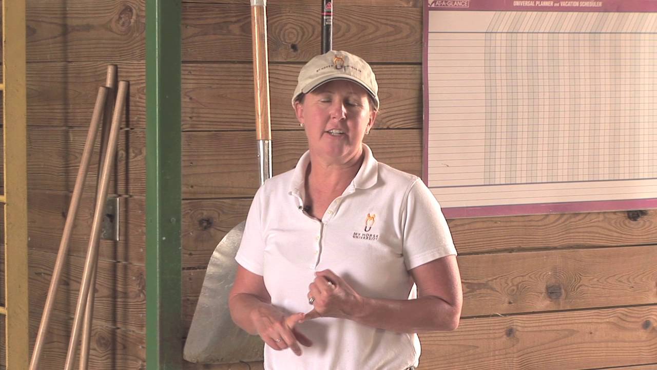Horse Barn: Cleaning Considerations