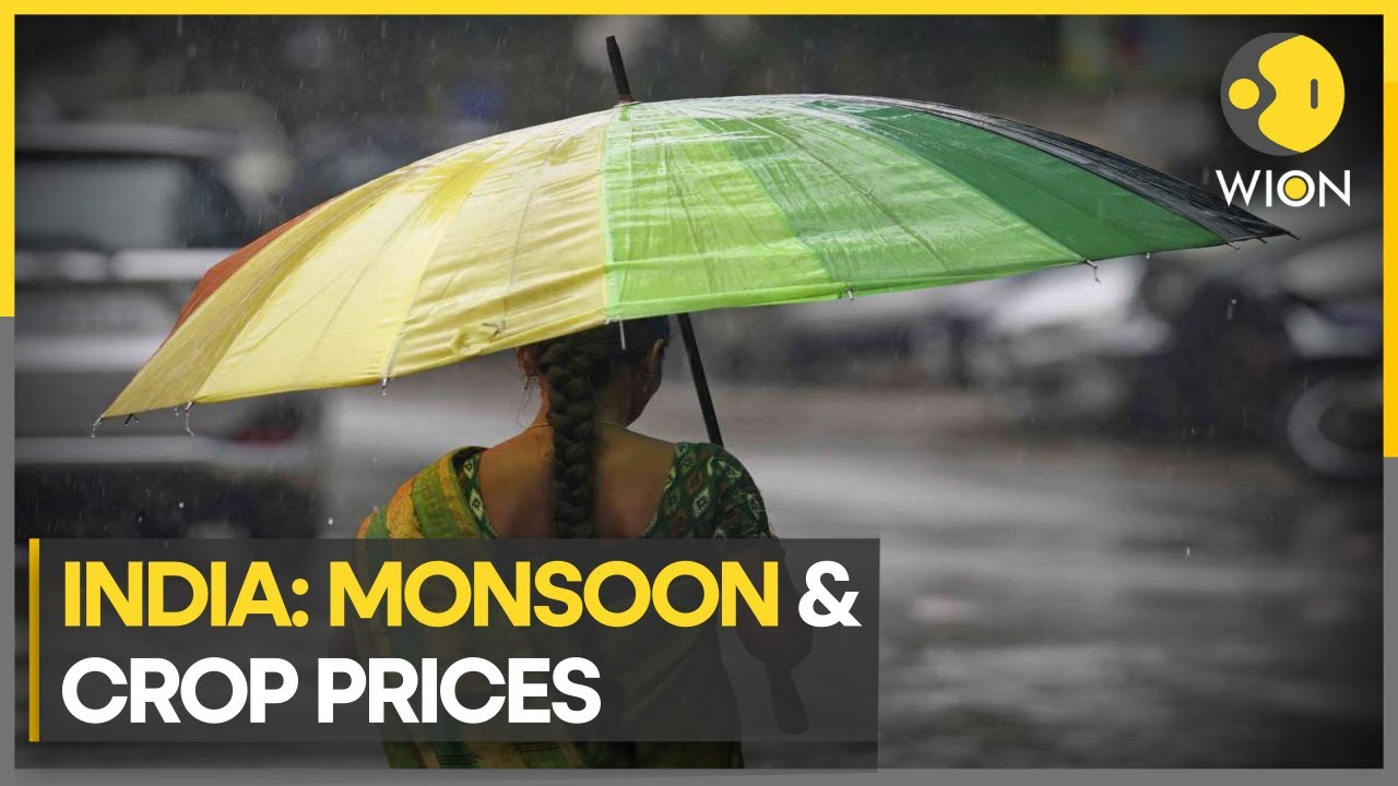 Monsoon onset delayed in India | WION Climate Tracker