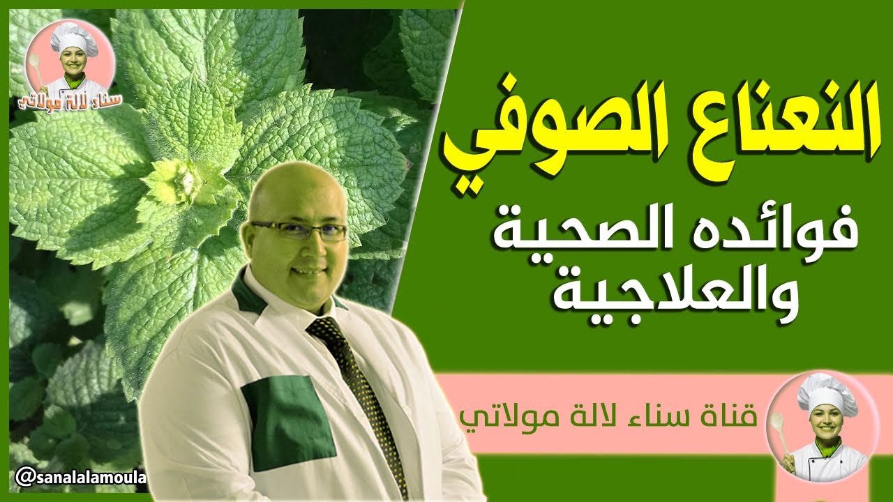 النعناع الصوفي : فوائده الصحية والعلاجية مع الدكتور عماد ميزاب Dr Imad Mizab