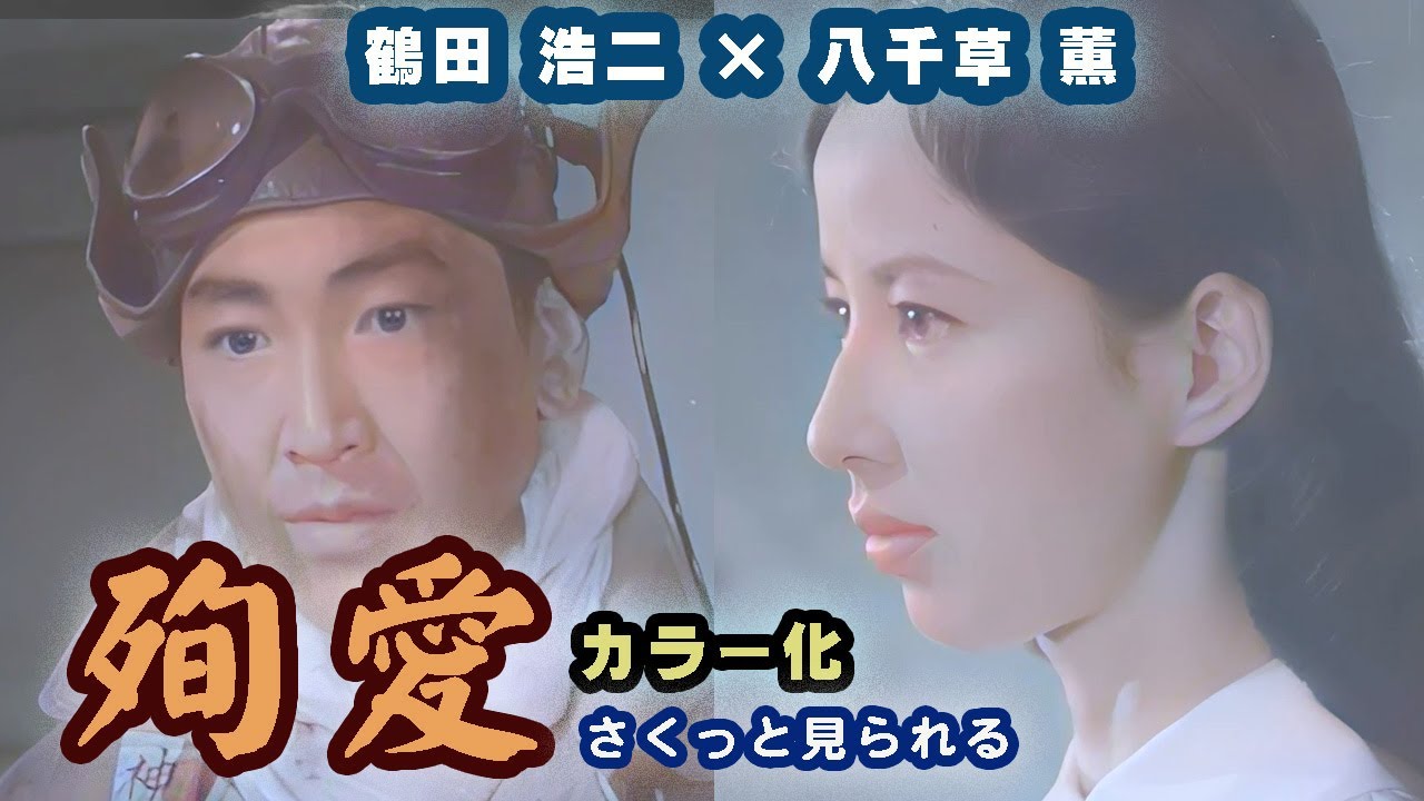 【AIカラー化】【八千草薫】「殉愛」さくっとまとめました！