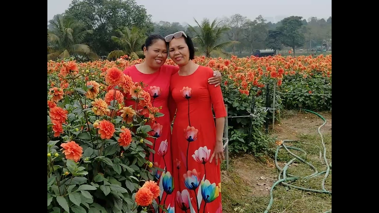 bái đã sông hồng