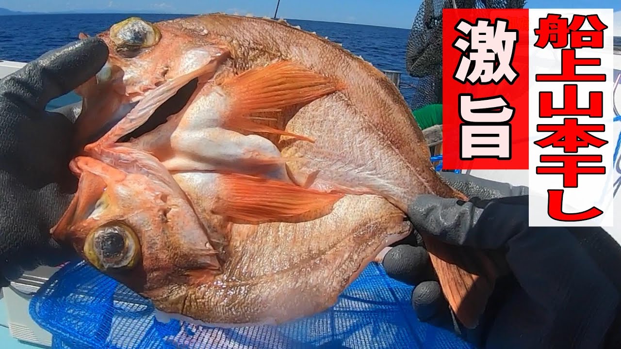 《京都・裕凪丸》【世界一旨い干物の作り方】激旨！沖メバル船上山本干し2023 9 10沖メバル船上干し