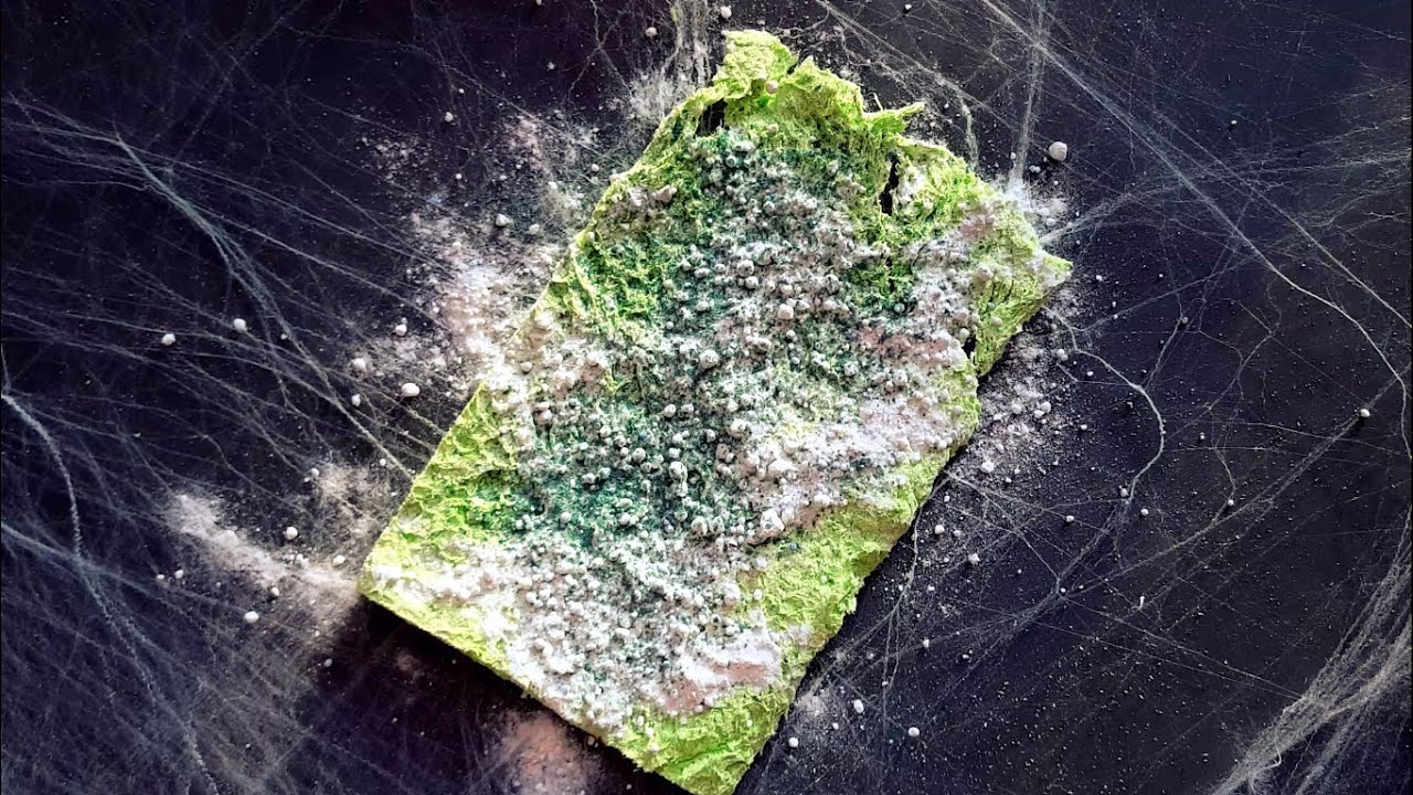 ZOMBIE SPONGE 🧟‍♀️🧟‍♂️ - Old bleached powdery cellulose sponge ripping |WATCH IN HD| ig @asmr_by_ann