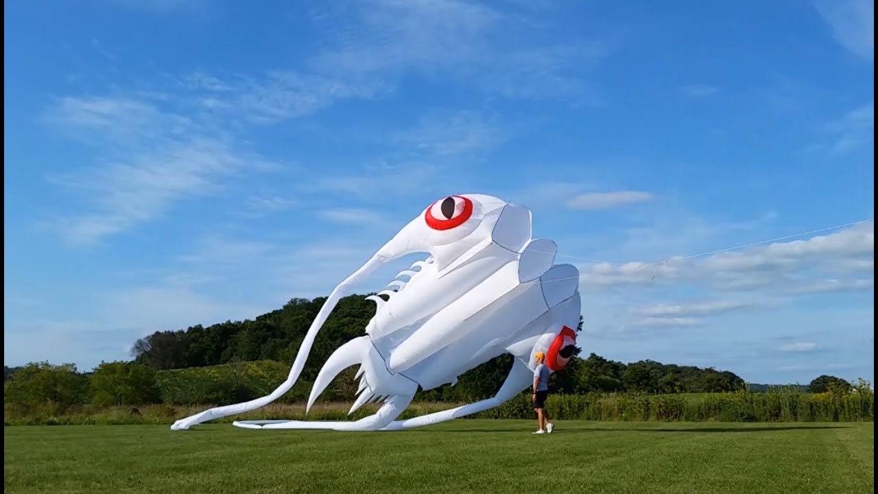 Trilobite the White Kite in Flight