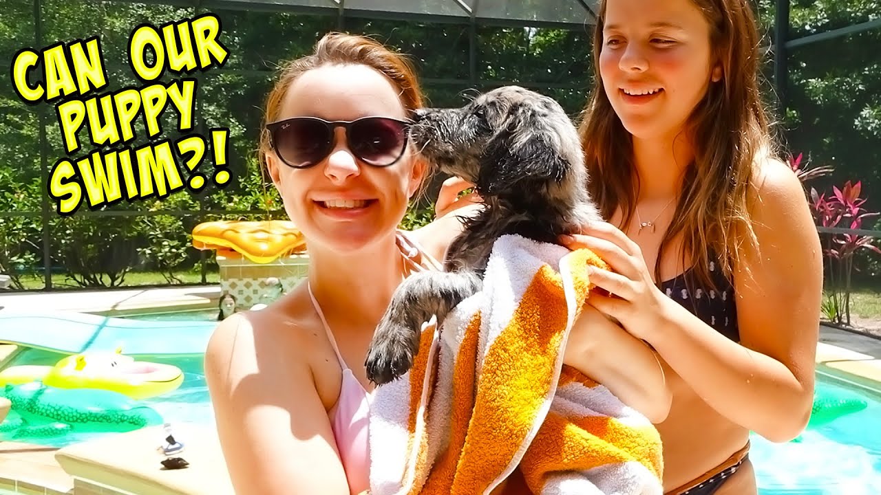 24 HOURS WITH OUR NEW PUPPY!!