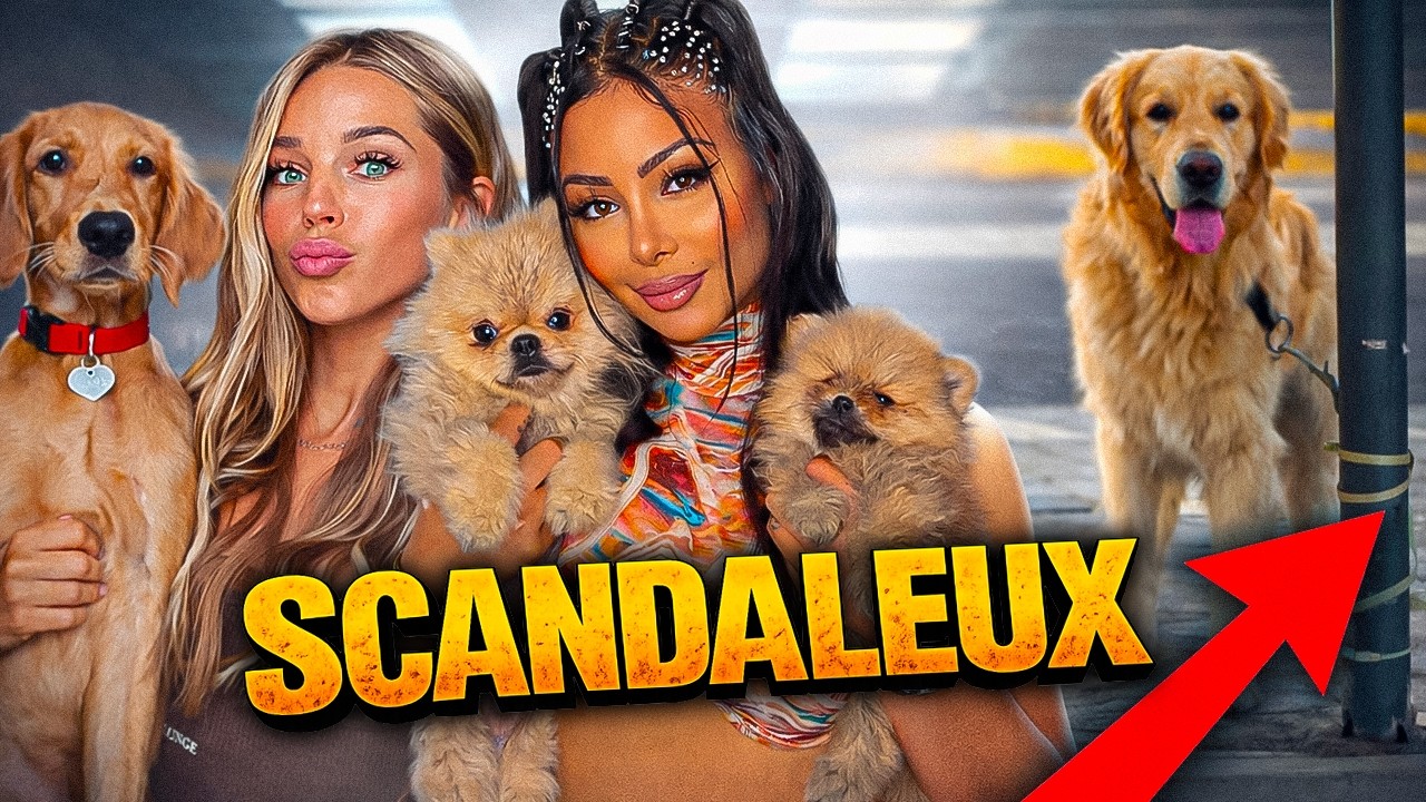 LES INFLUENCEURS SONT DES MONSTRES 😡 DES ANIMAUX ABANDONNÉS DANS LE DÉSERT !