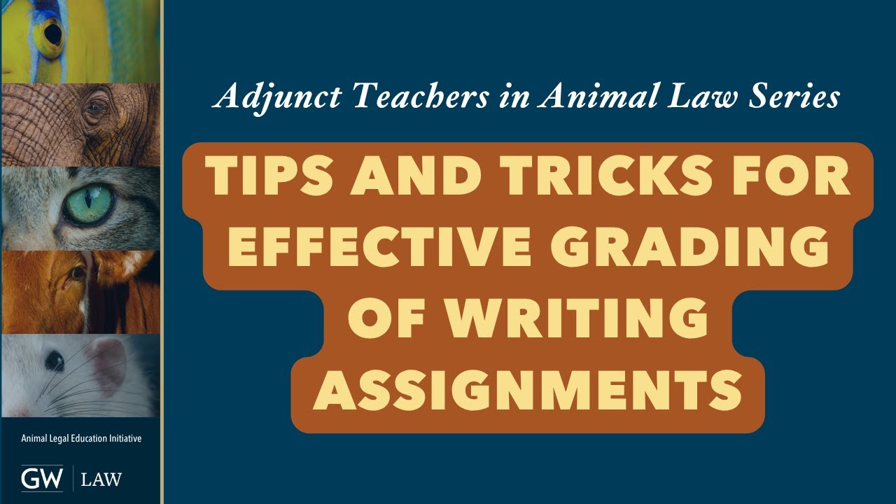 Tips and Tricks for Efficient and Effective Grading of Writing Assignments