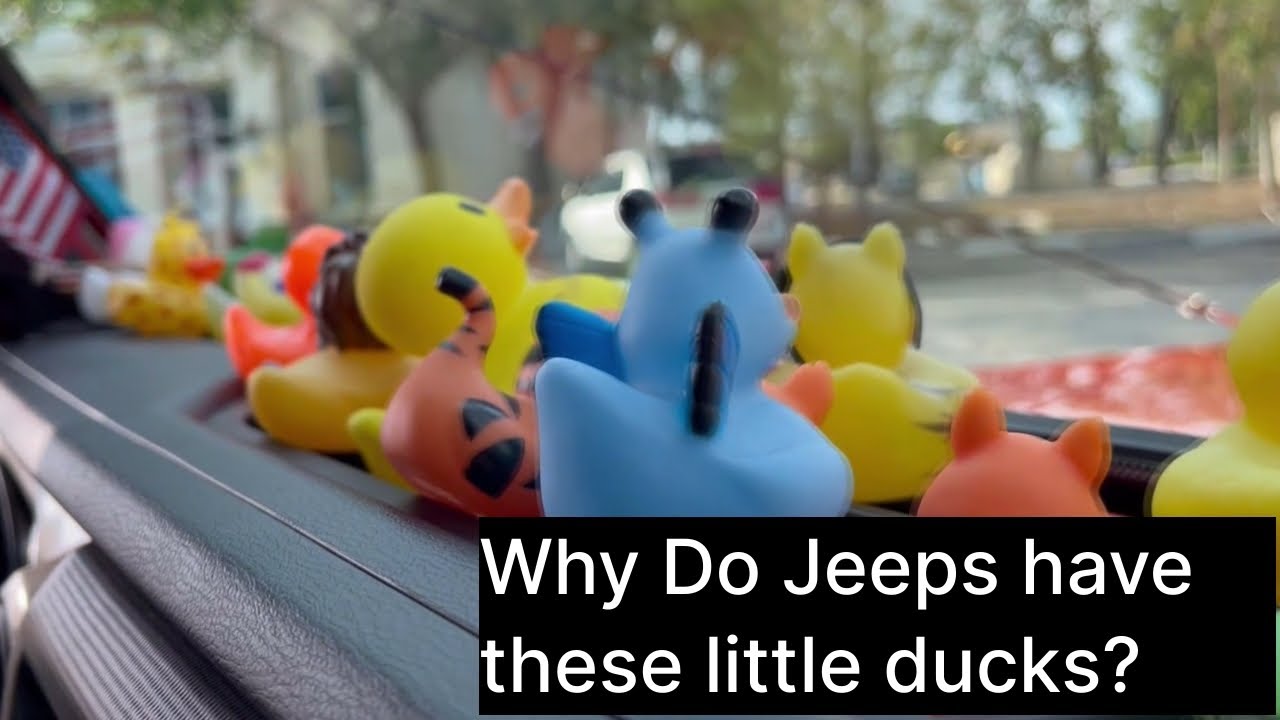Why Do Jeeps Have Little Rubber Ducks On The Dashboard?