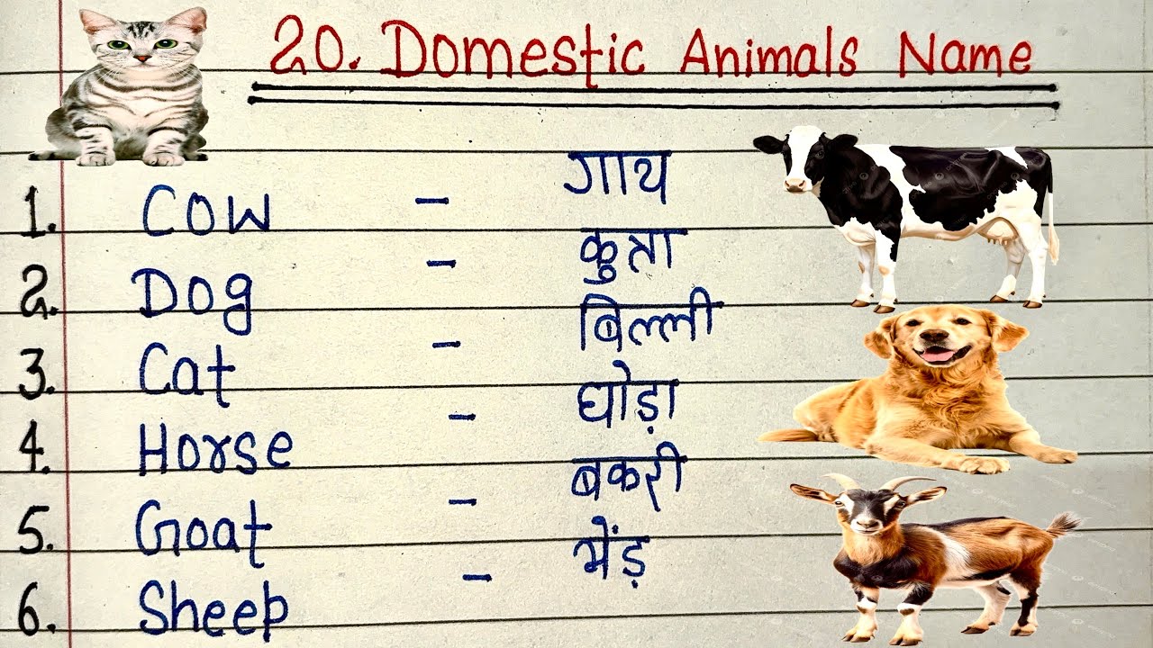 20 Domestic Animals Name | 20 पालतू जानवरों के नाम | Domestic Animals Name in Hindi and English 