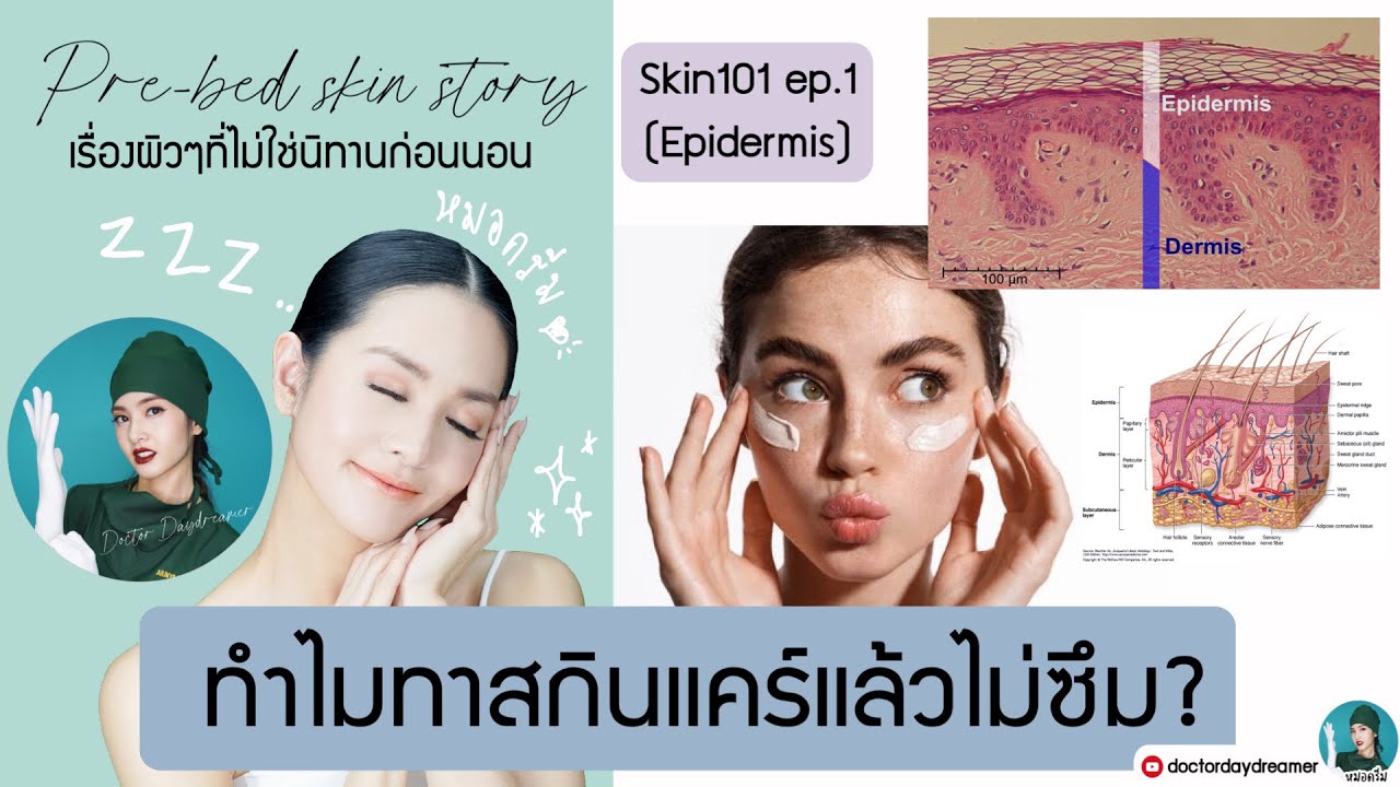 ทำไมทาสกินแคร์แล้วไม่ซึม? #Skin101 ep.1 - #epidermis หนังกำพร้า | Doctor DayDreamer