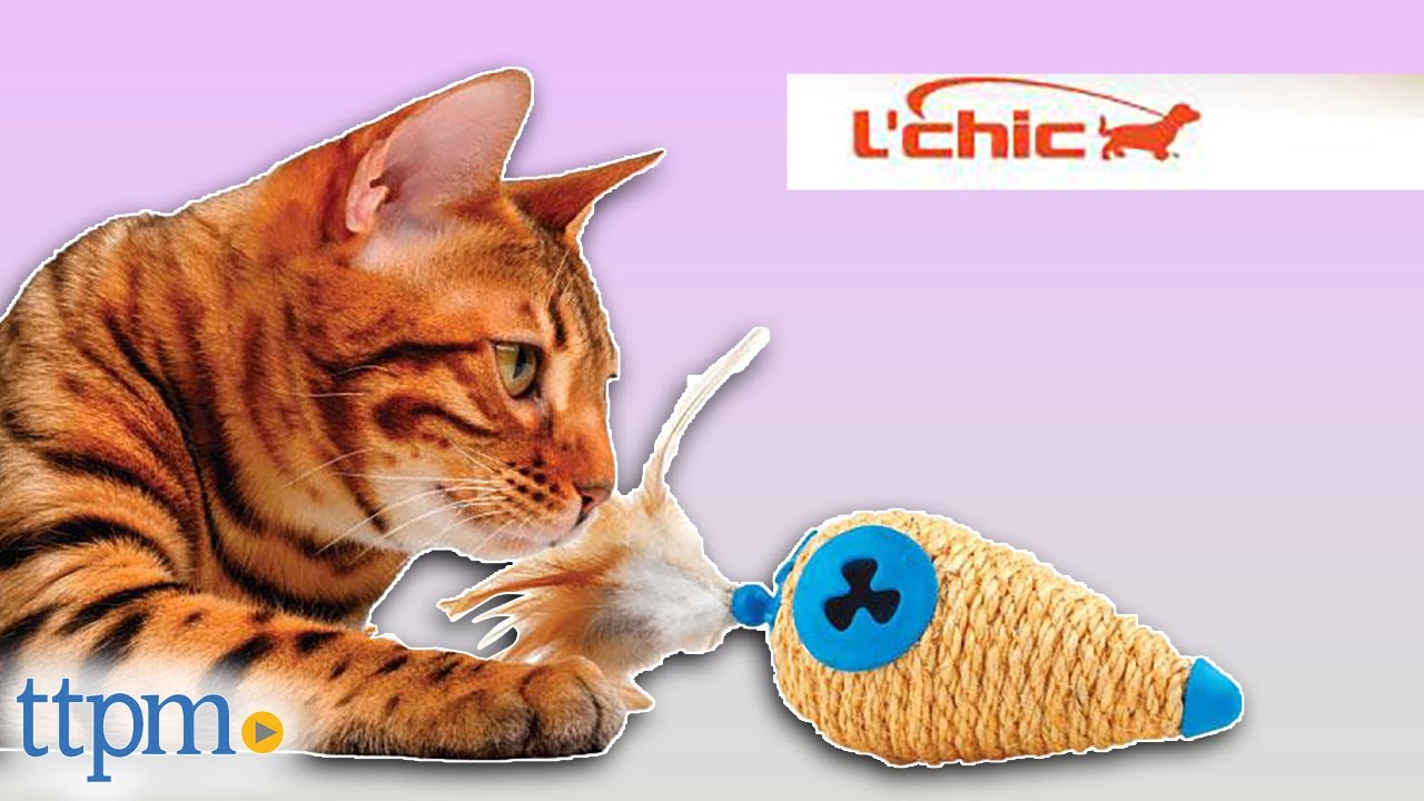 Four-in-One Feline Fun Cat Toy