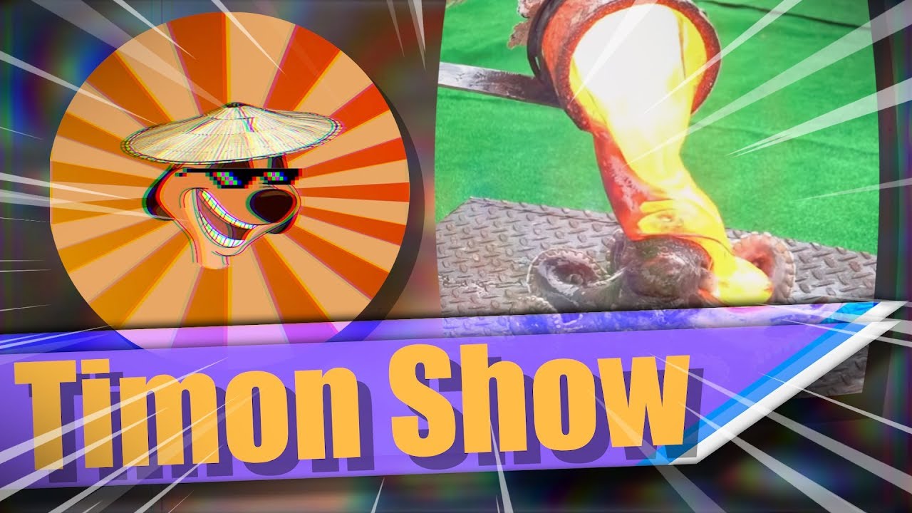 Timon Show - L&uuml;gen, Tierqu&auml;lerei und geklaute Videos...