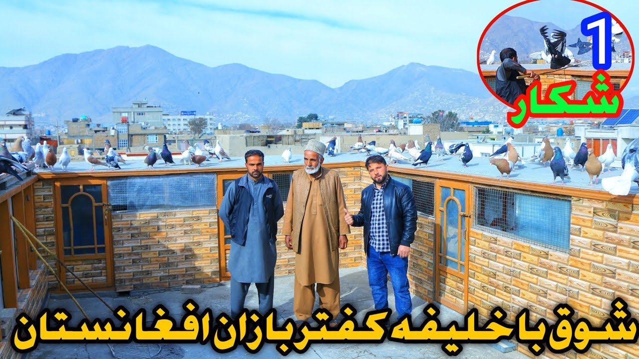 1 شکار | شوق با خلیفه کفتر بازان کابل،کاکا جبار شوقی نامی و مشهور کابل | شوقی کابل قدیم