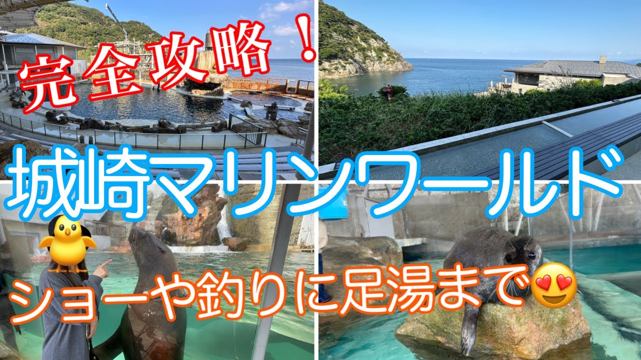 【ショーに釣りに足湯まで😍】城崎マリンワールドが楽しすぎました！ショーを全部見るためのタイムスケジュールを公開！【９つのショーを制覇】