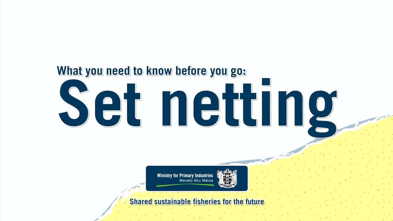 Set netting &ndash; what you need to know before you go