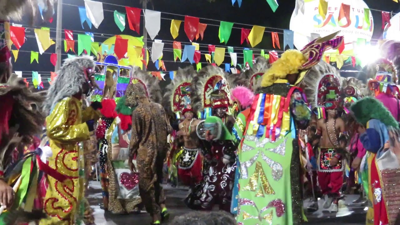 2015 27/06 Boi da Floresta (de Apolônio)