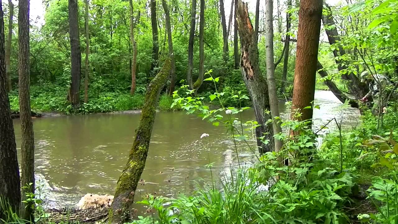 Biała Przemsza - 18.05.2014.