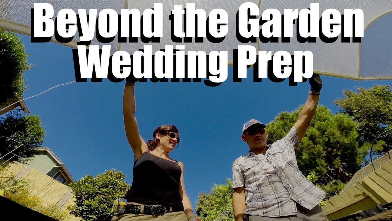 Beyond the Garden - A Wedding is Coming!