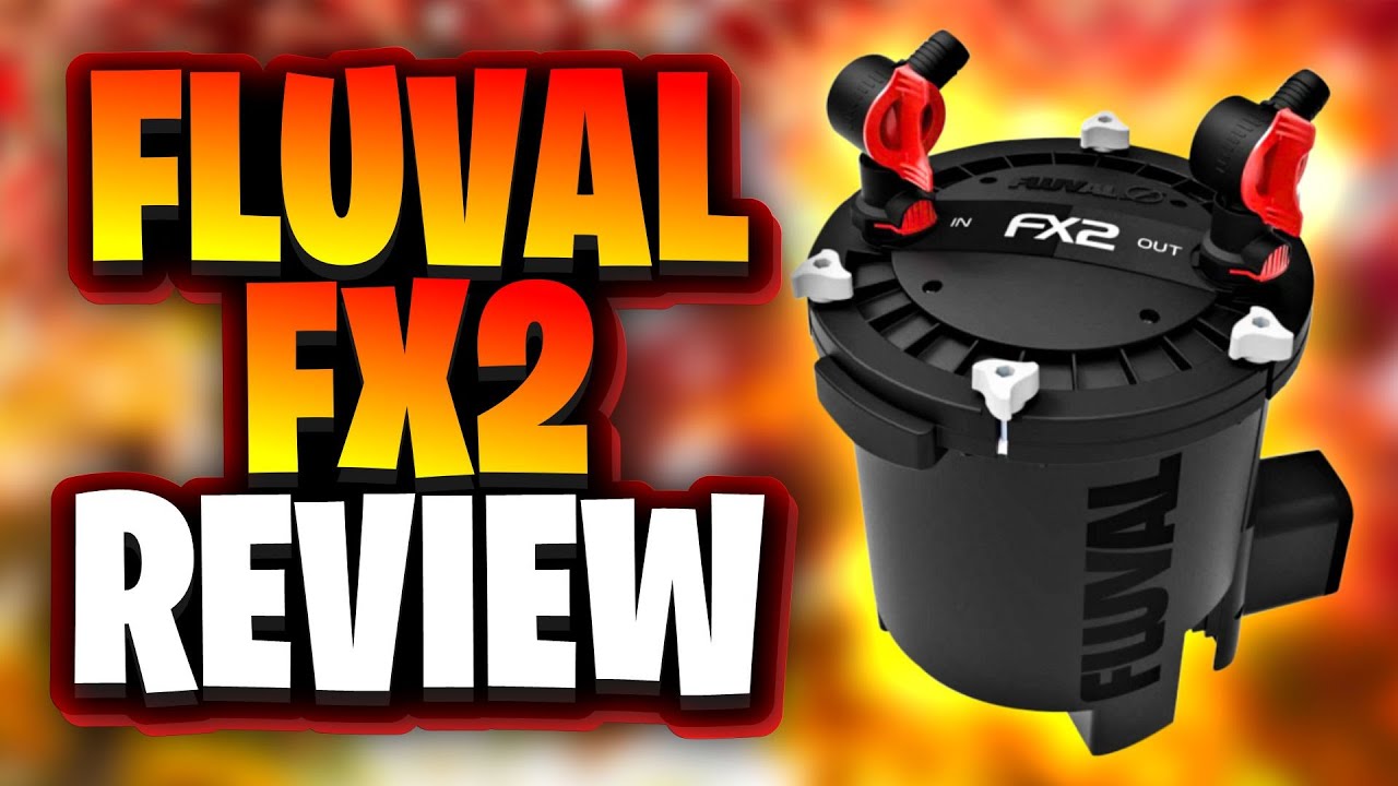 Обзор Fluval FX2 &mdash; отличный канистровый фильтр для средних и больших аквариумов!