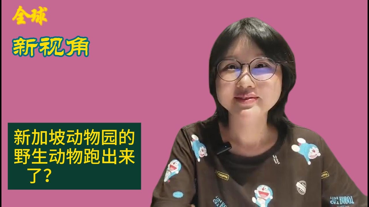 新加坡动物园的野生动物跑出来了？#singapore #新加坡环境