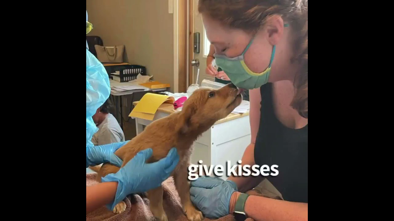 What do CASA volunteers do?