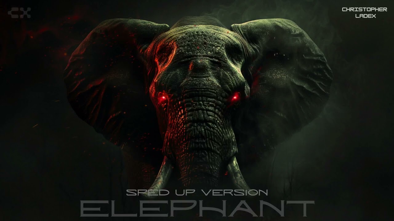 Christopher Ladex - ELEPHANT (Sped Up Version) [TikTok]