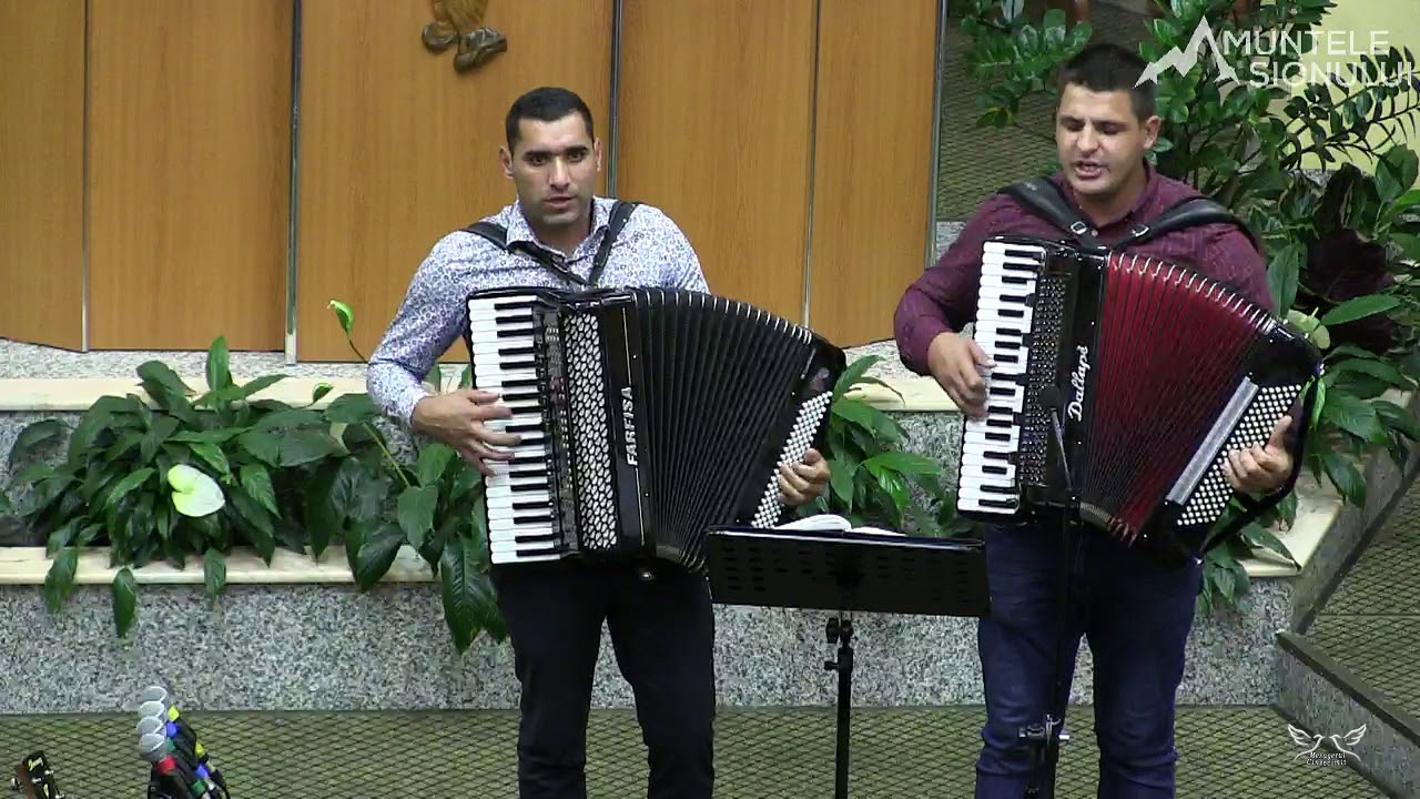 Grup de Frati - Stau aici la scaldatoare langa poarta oilor | Video