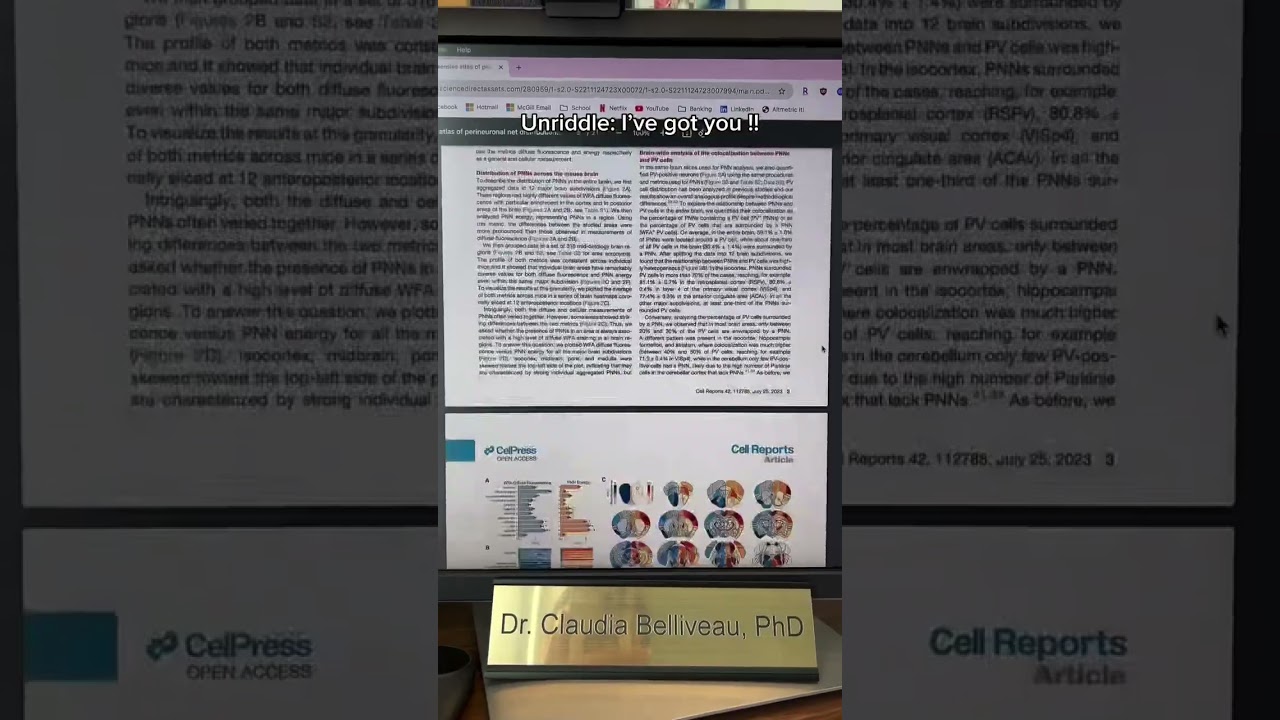 how to make a journal club presentation 👇 . here&rsquo;s what your presentation slide deck should