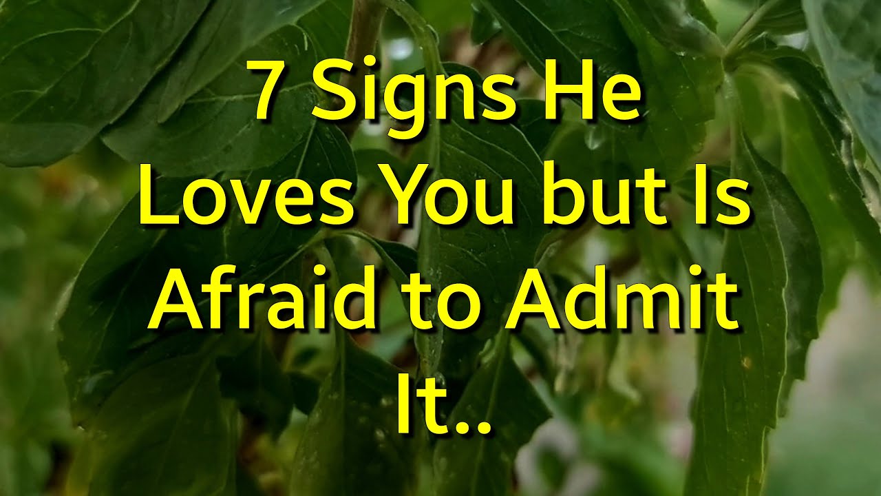 7 Signs He Loves You but Is Afraid to Admit It...|Psychology Amazing Facts