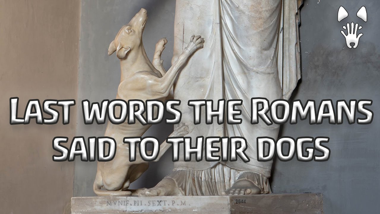 5 Heartbreaking Roman Dog Epitaphs | Narrated in English y en Espa&ntilde;ol