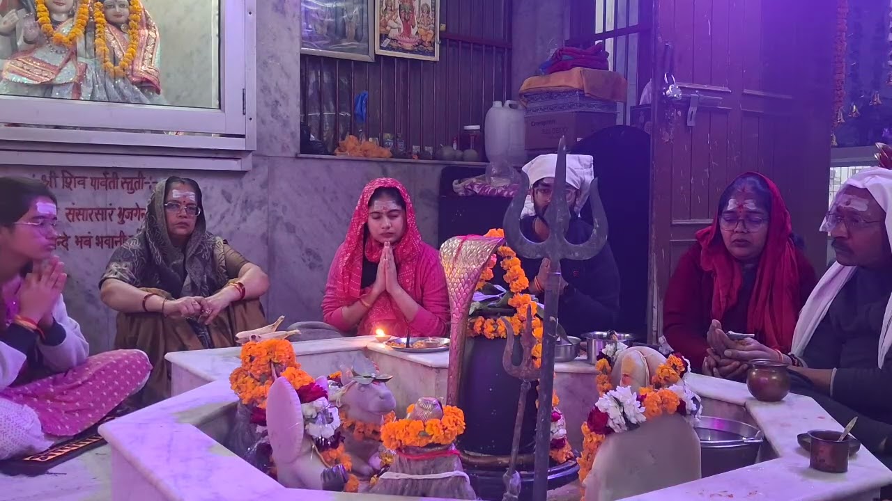#शिव महा रुद्राभिषेक #शिवरात्री के पावन पुण्य अवसर पर #समस्त वैदिक अनुष्ठान #ज्योतिष निदान #शर्वदोश 