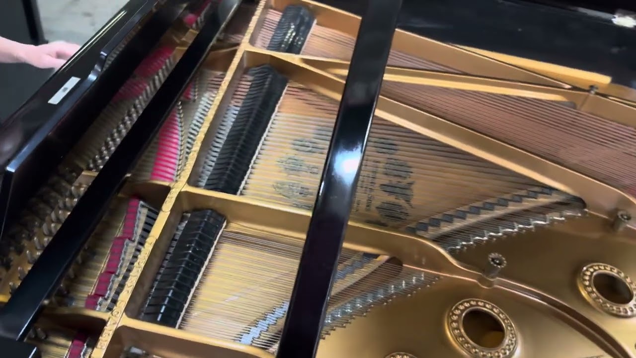Claudia Klinkenberg Steinway A Liszt￼