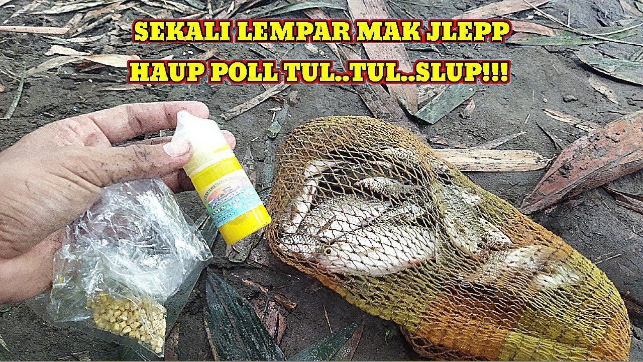 ESSEN WADER & NILEM PALING AMPUH‼️PLUNG LEP TAK SEMPAT BERKEDIP