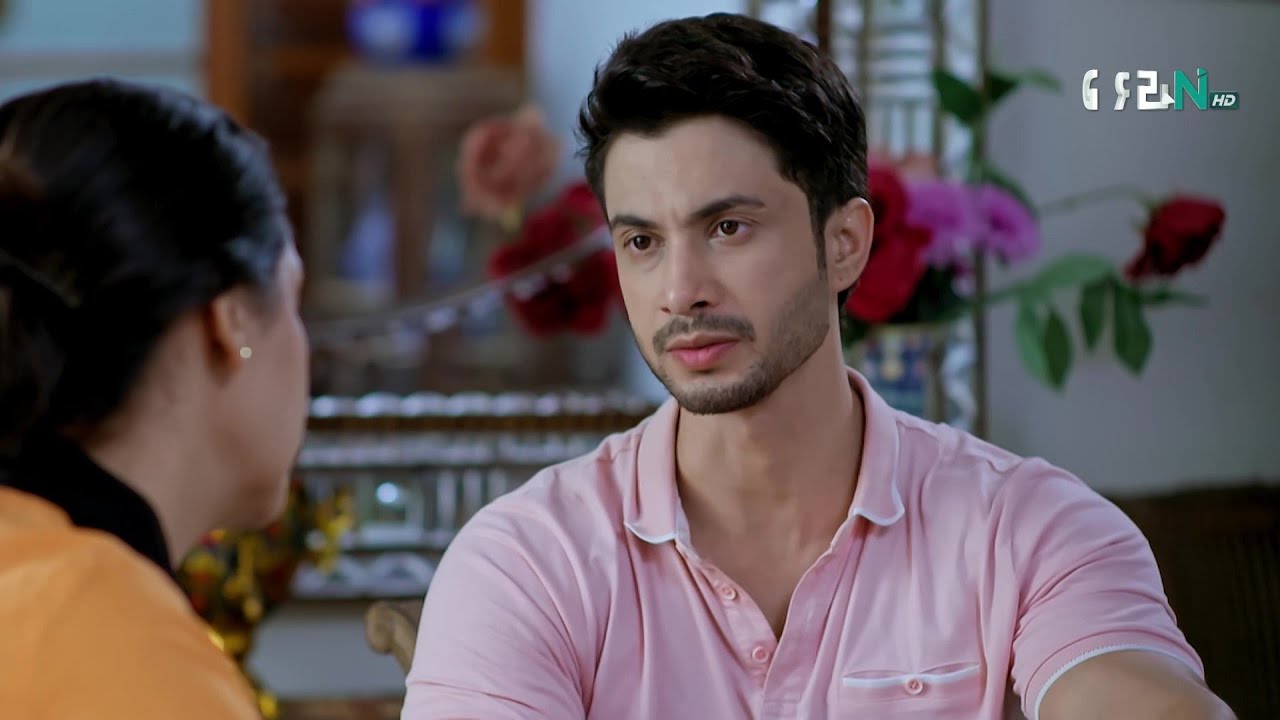 Aik Hee Baat Bar Bar Kyun Kar Rahi Ho..! #visaaleishq #fahadsheikh #hibaaziz #shortvideos