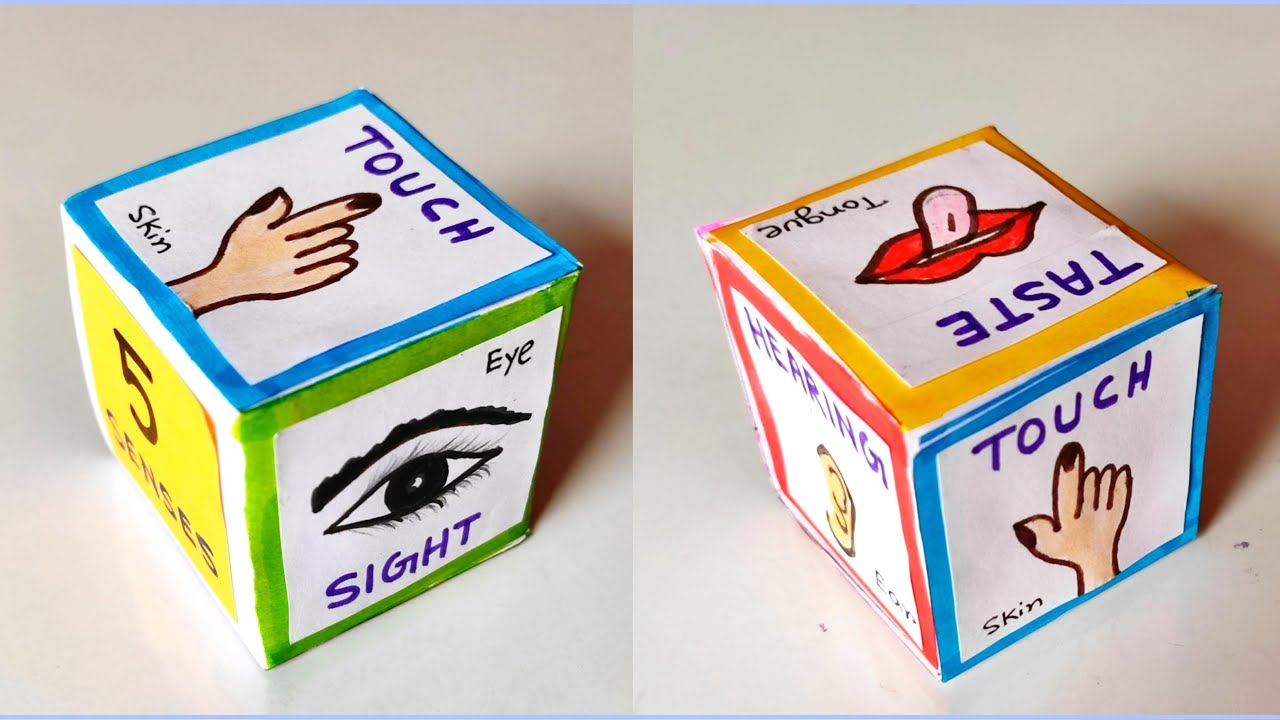 How to make sense organs craft | Sensor organs craft model idea | Sensory organs model idea