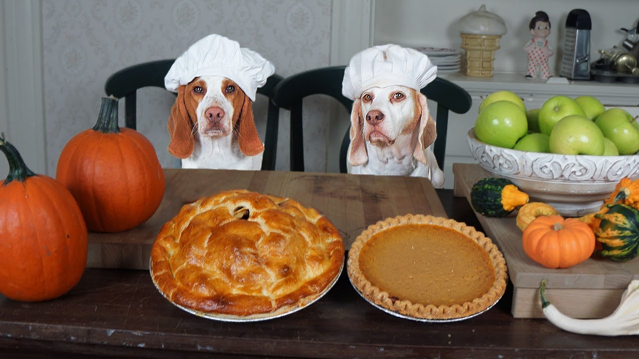 Chef Dogs Make Pies: Funny Dogs Maymo & Potpie