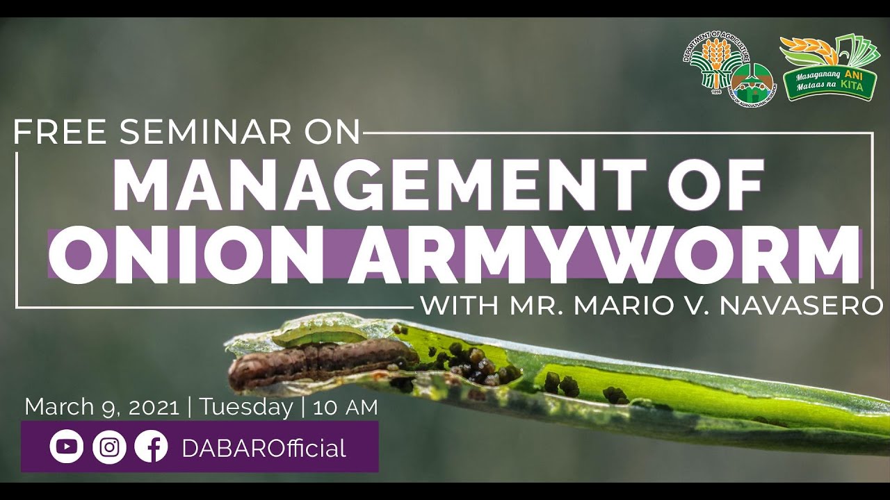 Management of Onion Armyworm