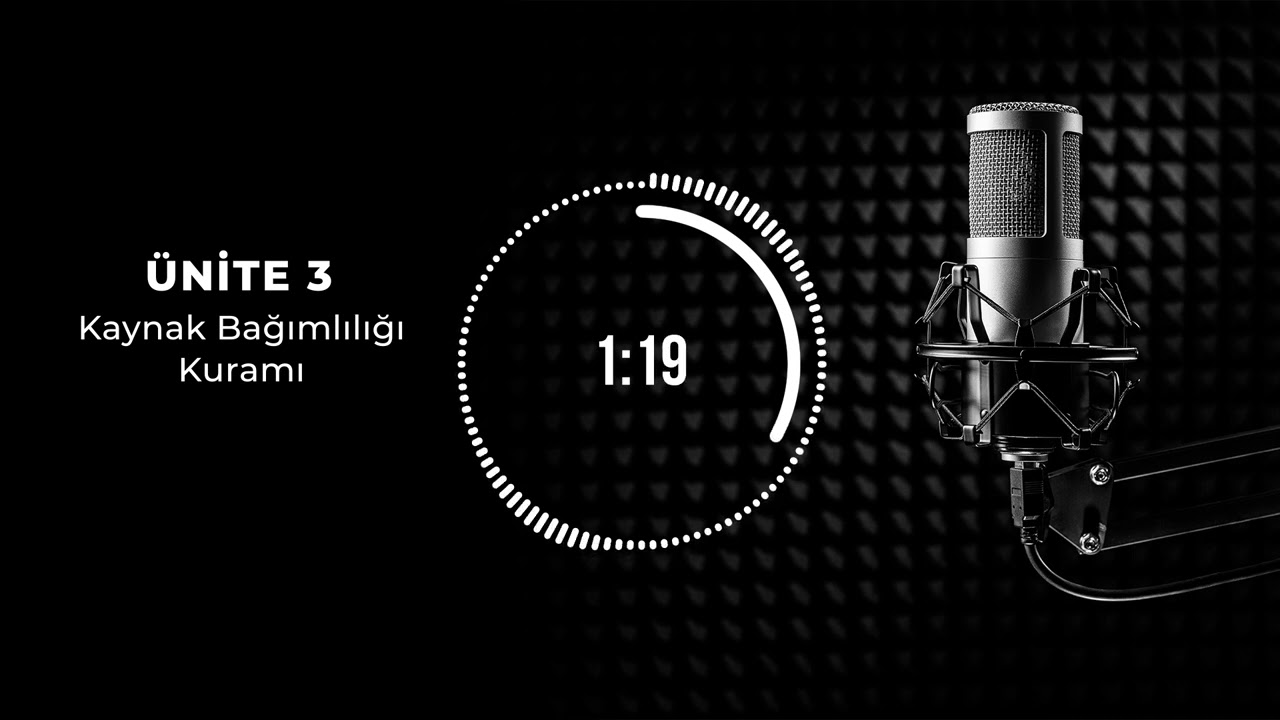 Bölüm 3: Kaynak Bağımlılığı Kuramı