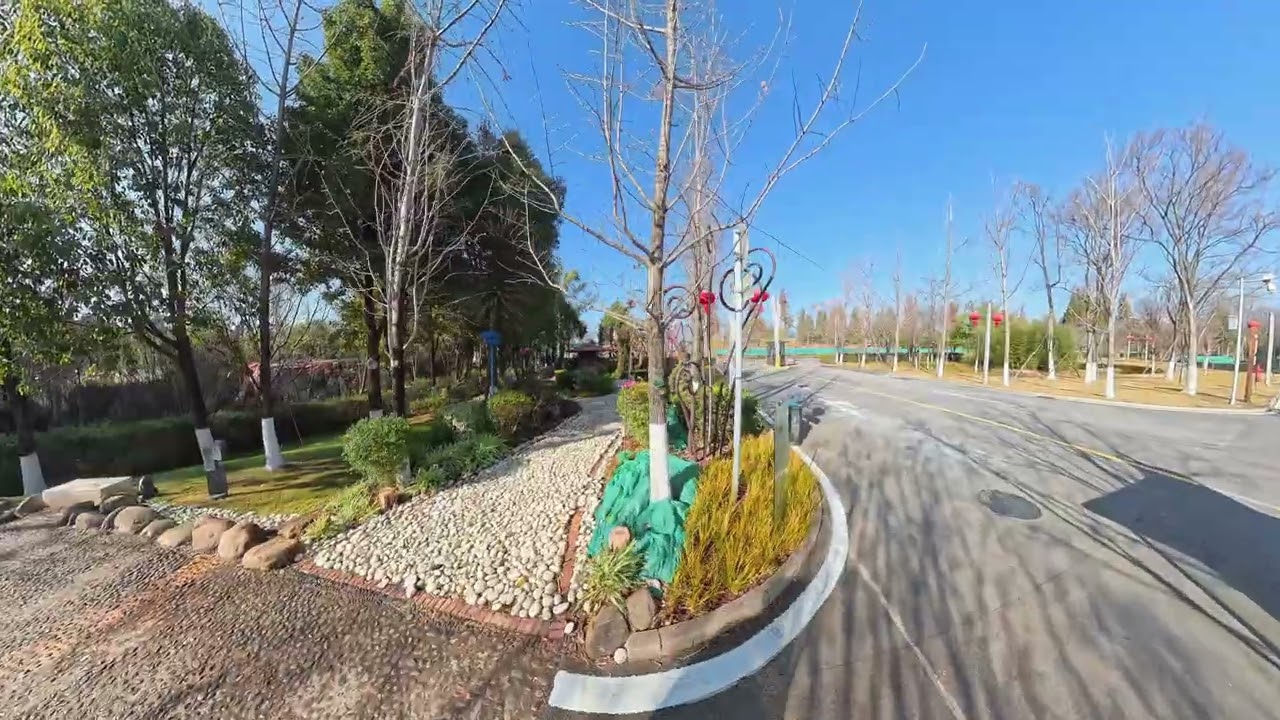 闲逛昆明宝丰湿地公园 | 20260130