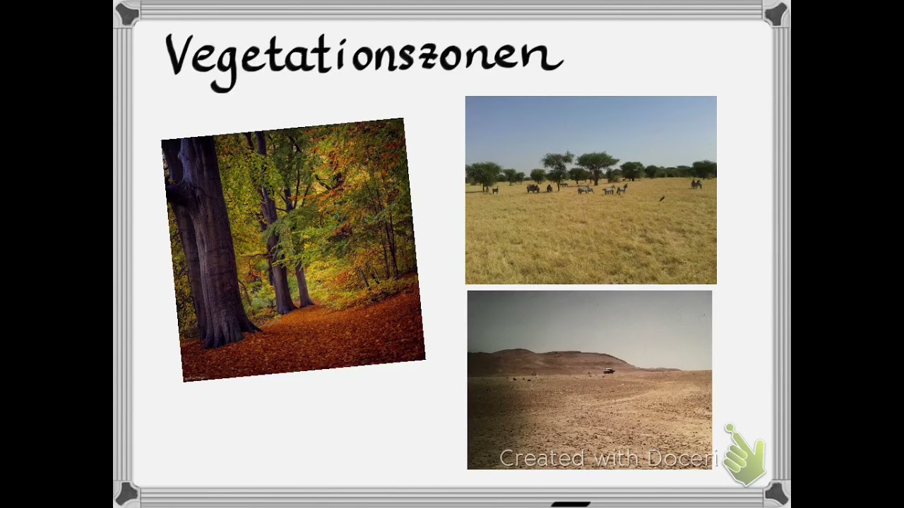 Die Vegetationszonen der Erde