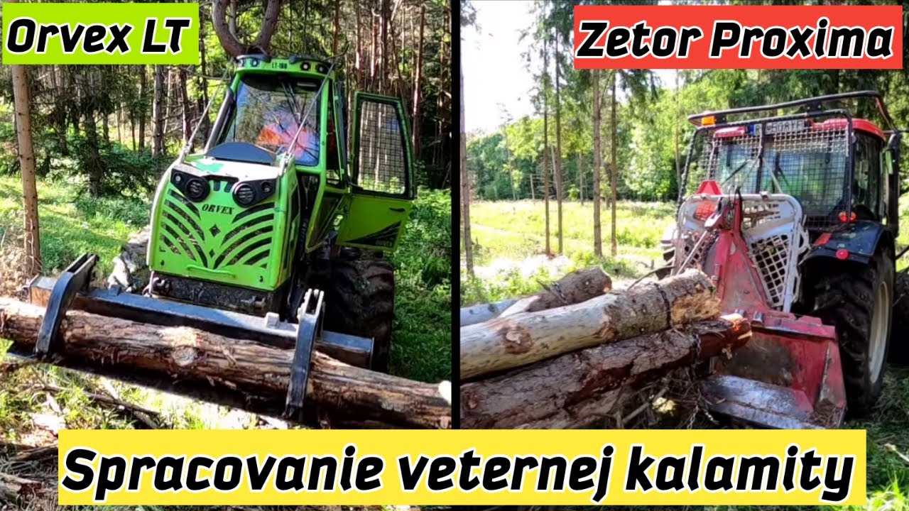 Spracovanie veternej kalamity, Orvex LT 100 , Zetor Proxima, Ťažká práca, Ťažba dreva, Stihl ms 462