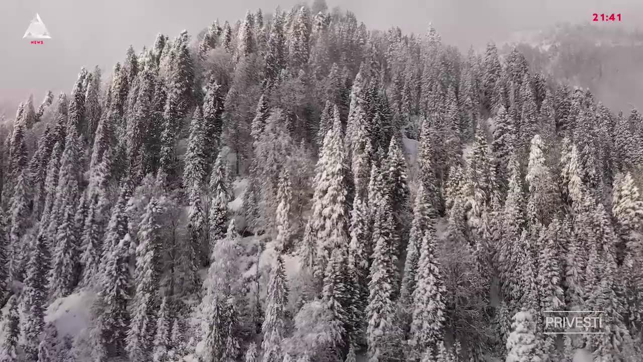 ȘTIU Live Stream