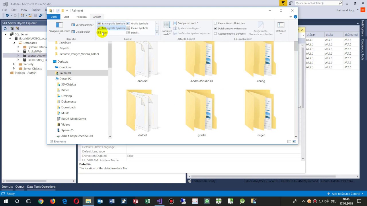 How to Move ASP SQL Server Database File from LocalDB to Project Folder