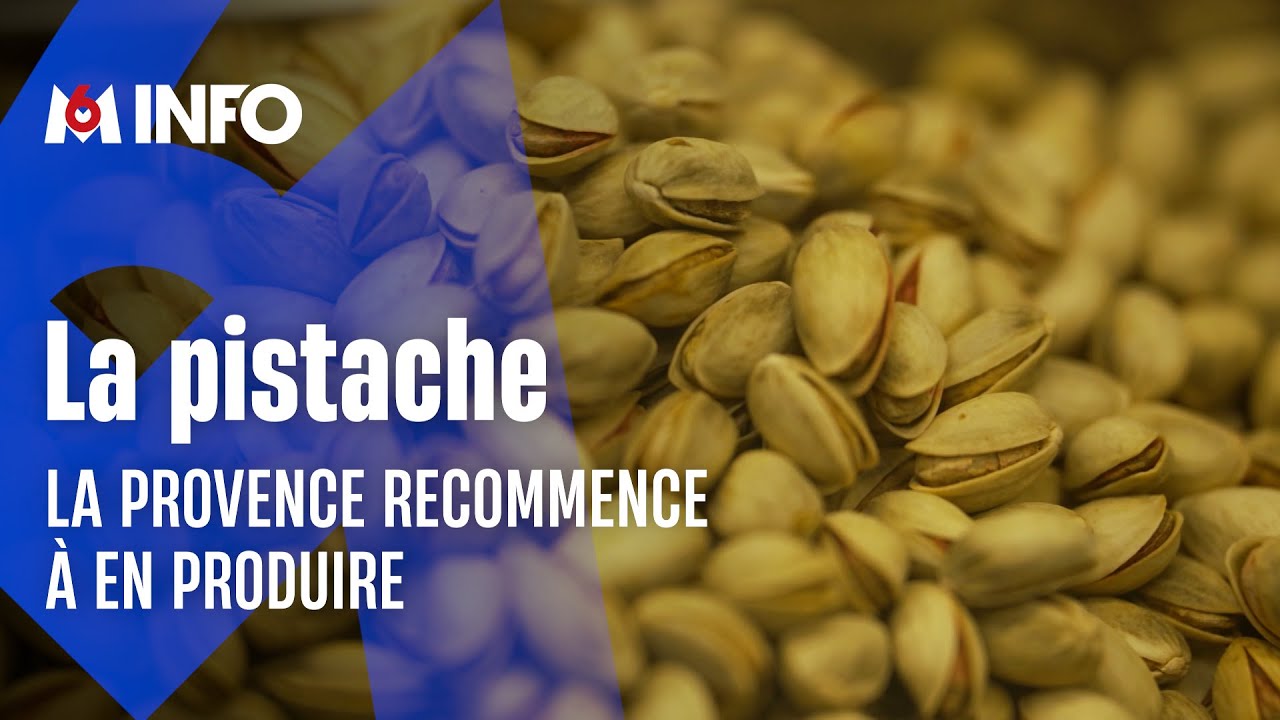 La pistache, le nouvel or vert