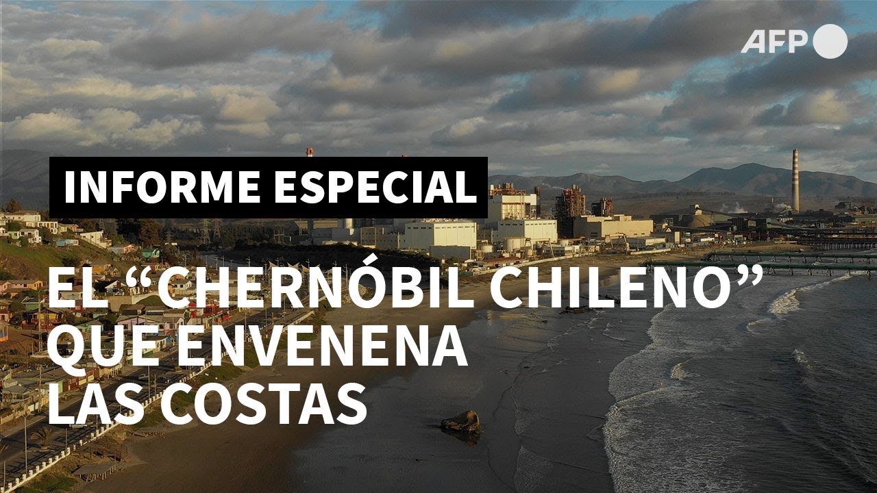 Sobrevivir al 