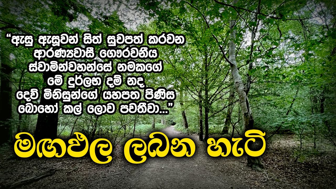 මඟඵල ලබන හැටි | Samma Ditthi UK