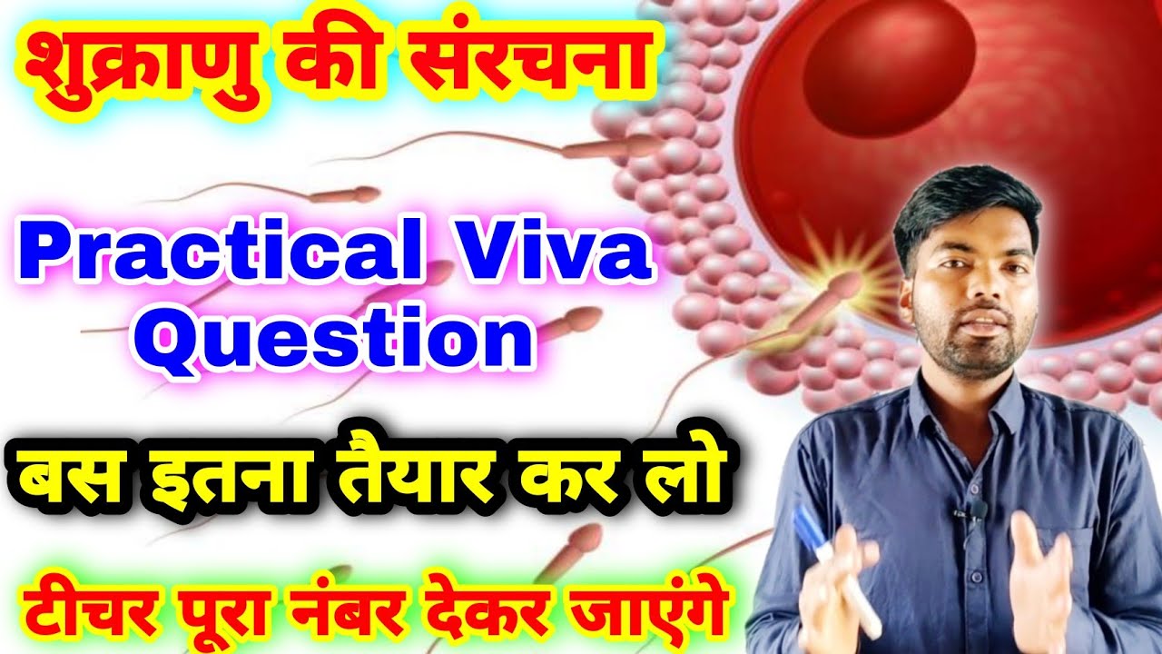 12th Biology Practical Viva Question | शुक्राणु पर आधारित मौखिक प्रश्न | Structure of sperm viva